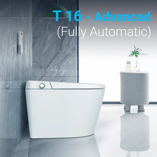 T16, image 2 of 8